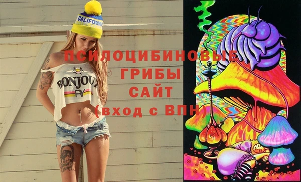 apvp Балахна
