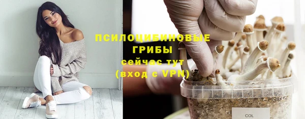 apvp Балахна