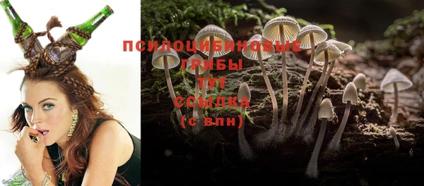 ALPHA-PVP Баксан