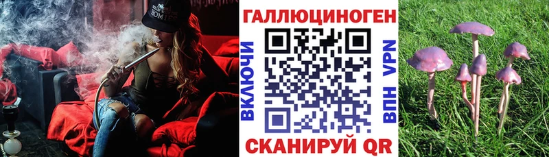 Галлюциногенные грибы Cubensis kraken как зайти Ялта продажа наркотиков